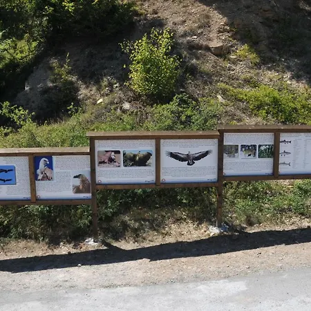 Jelena Zlatar Nova Varos