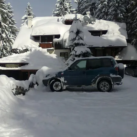 Jelena Zlatar Nova Varos