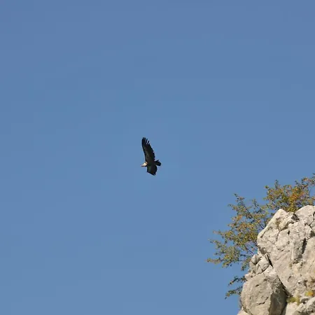 Jelena Zlatar Nova Varos Hotel 3*