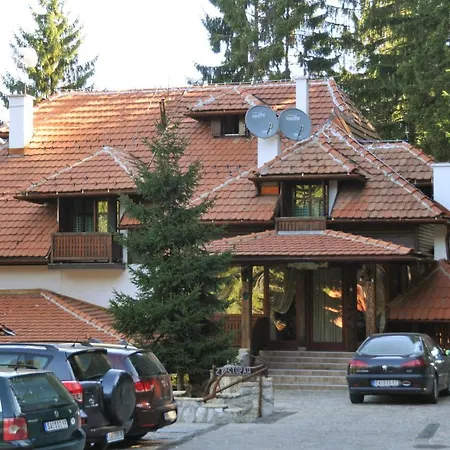 Jelena Zlatar Nova Varos Brdo