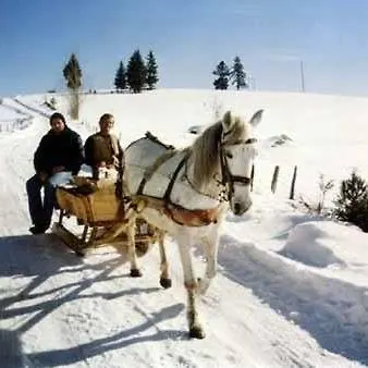 Jelena Zlatar Nova Varos 3*