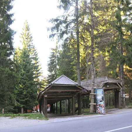 Jelena Zlatar Nova Varos 3* Brdo