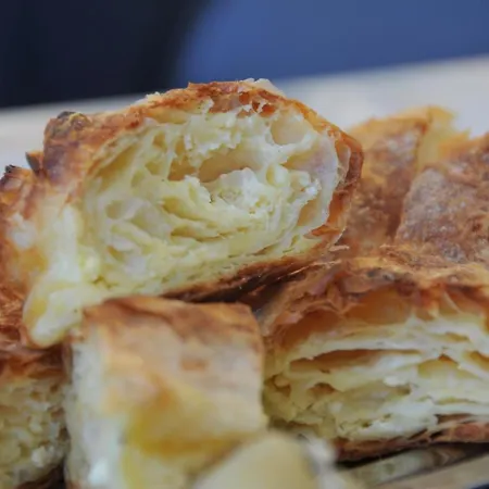 Jelena Zlatar Nova Varos