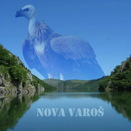 Jelena Zlatar Nova Varos Hotel Brdo