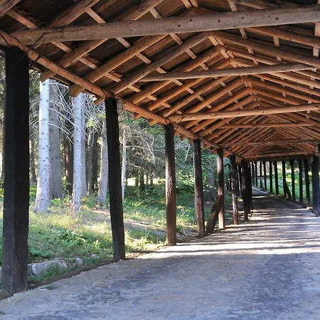 Jelena Zlatar Nova Varos 3* Brdo